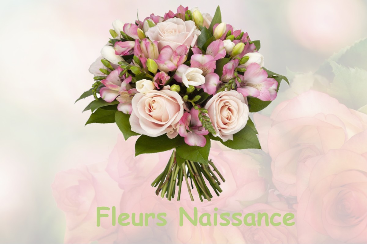 fleurs naissance SAINT-PIERRE-LA-BOURLHONNE